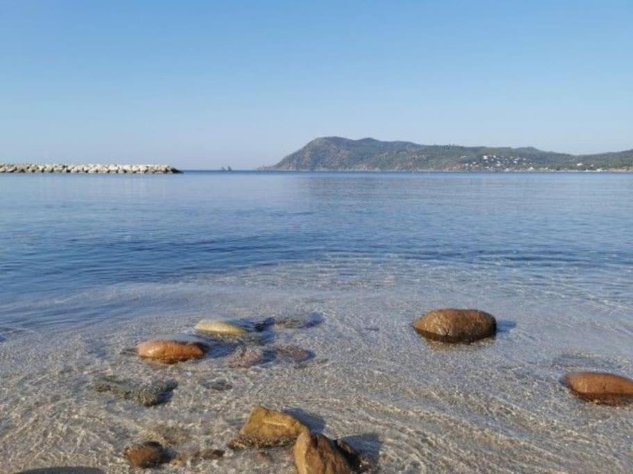 Charmant Studio Climatise 24 M2 Terrasse A 100M De La Plage 滨海圣芒德里耶 外观 照片