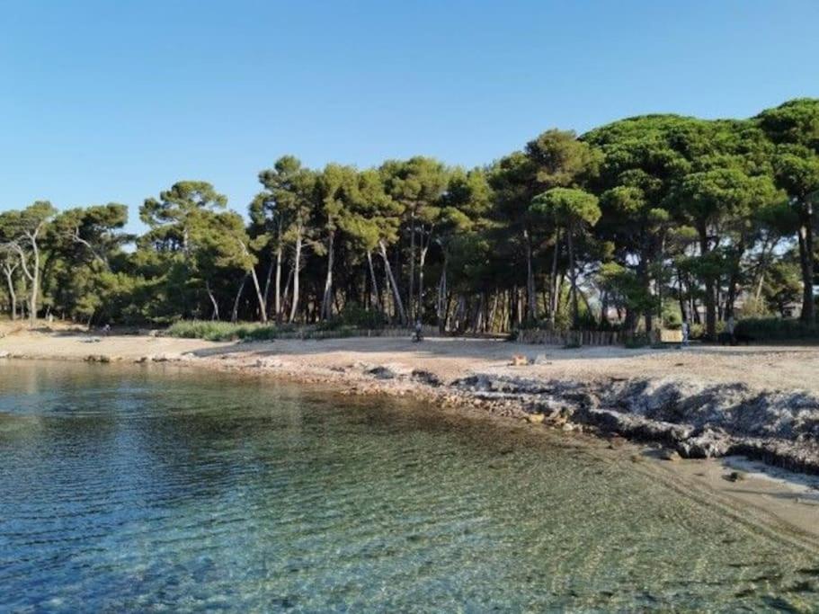 Charmant Studio Climatise 24 M2 Terrasse A 100M De La Plage 滨海圣芒德里耶 外观 照片